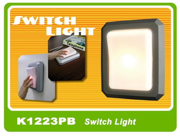 K1223PB Switch Light